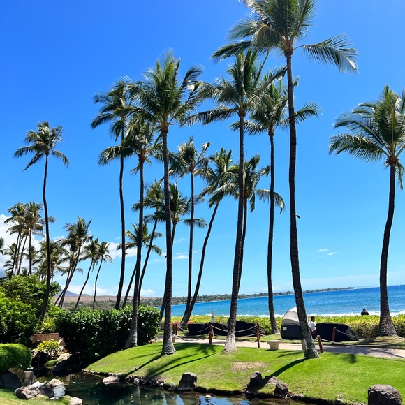 Meet your Posher, Jean - Picture 1 of 2